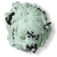 Mint Chocolate Chip Top 