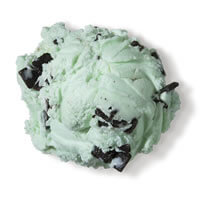 Mint Chocolate Chip Top 